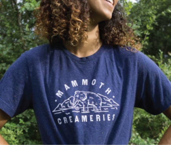 Mammoth Blue Tee